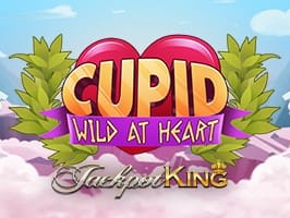 Cupid JK screenshot